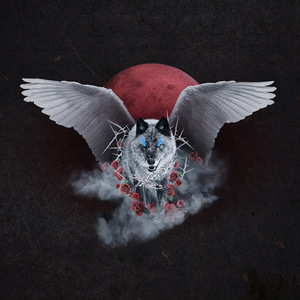 凪光老师的家教日常免费观看全集
